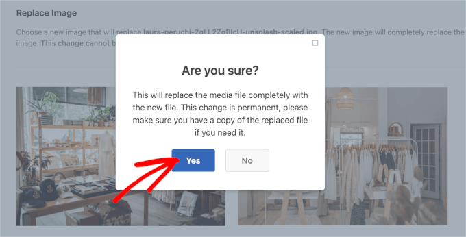 The Yes button in the Are You Sure warning popup in Search & Replace Everything