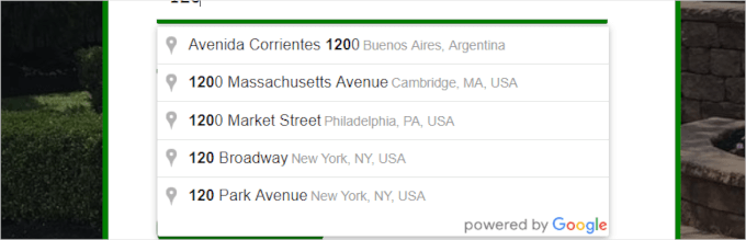 Autocomplete Google Address plugin