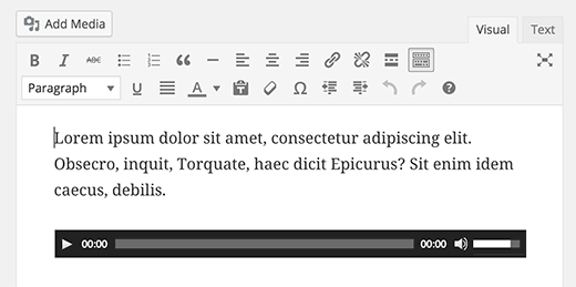  fișier audio unic încorporat în editorul vizual WordPress