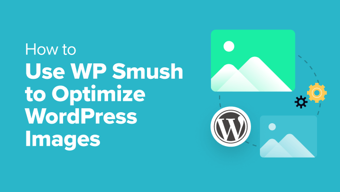 How to Use WP Smush