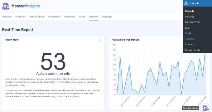 View real-time report in MonsterInsights