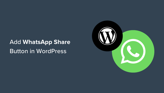 如何在 WordPress 中添加 WhatsApp 分享按钮