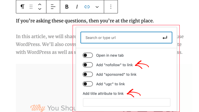 AIOSEO 为插入链接弹出窗口添加 NoFollow 和 Title 属性