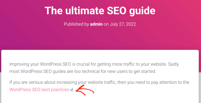 Seo link icon