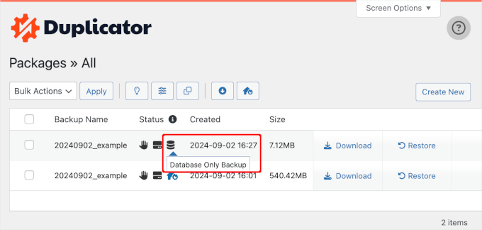 Database icon in Duplicator