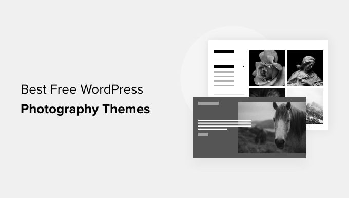 44 Best Free WordPress Photography Themes (2023)