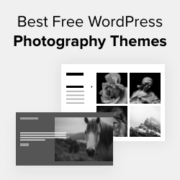 Best Free WordPress Photography Themes