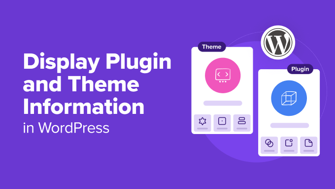 Display Plugin and Theme Information in WordPress