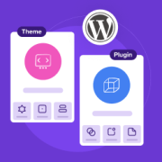 How to Display Plugin and Theme Information in WordPress