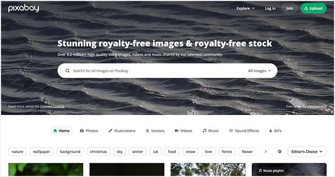 3,000+ Free Dark Forest & Forest Images - Pixabay