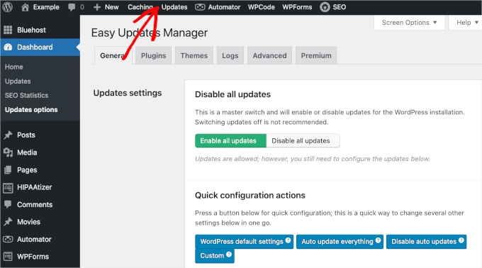 Updates menu item for Easy Updates Manager