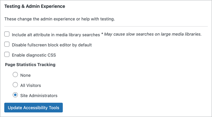 WP Accessibility Testing & Admin Experience