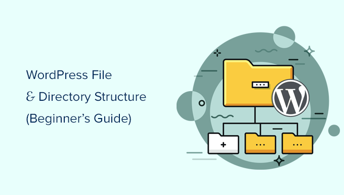 Beginner’s Guide to WordPress File and Directory Structure | MyWinet