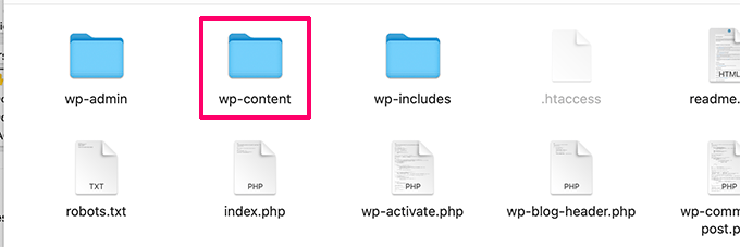 WordPress content folder