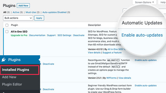 How to Enable Automatic Updates for WordPress Plugins