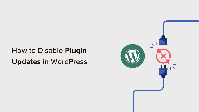 禁用 WordPress 中的插件更新