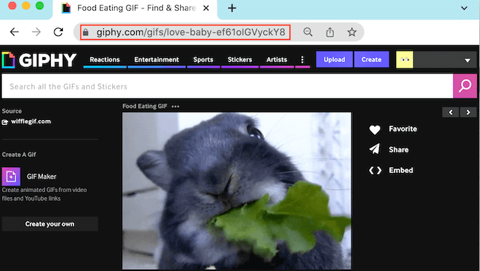 Video GIF - Find & Share on GIPHY
