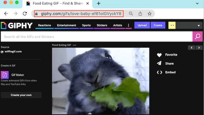 复制 Giphy GIF URL