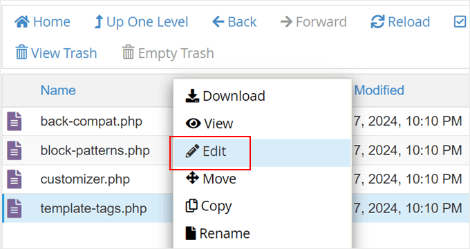 Editing the template tags classic theme file with the file manager