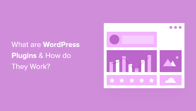 What Are WordPress Plugins? And How Do They Work?