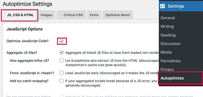 automically minify js file shopify
