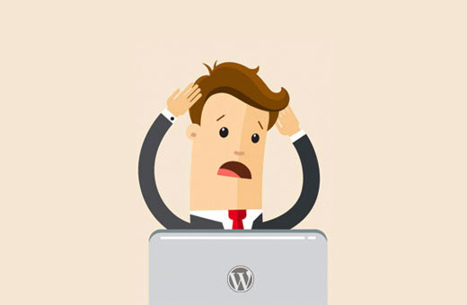 Common WordPress errors