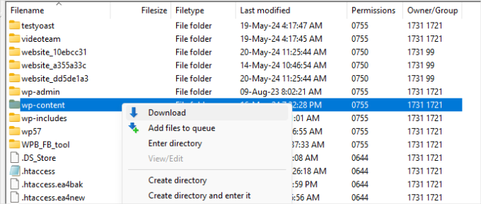 Download wp-content folder