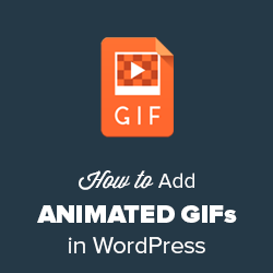 How to Add a Gif to WordPress