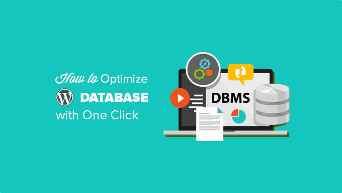How to Optimize Your WordPress Database with One Click