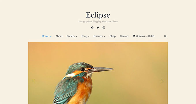 Best WordPress Themes