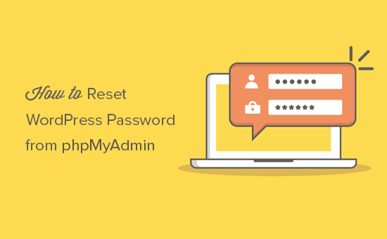 wamp reset phpmyadmin password