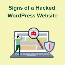 WordPress Website Hacked? We'll Show You What to Do Next