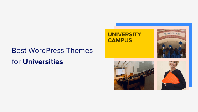 适合大学的最佳 WordPress 主题