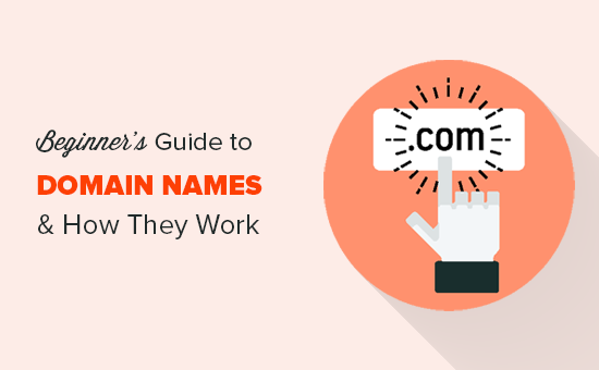 Understanding Domain Names and The Domain Naming Structure