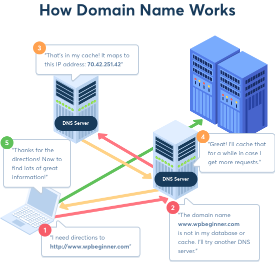 The domain registration hierarchy and WHOIS