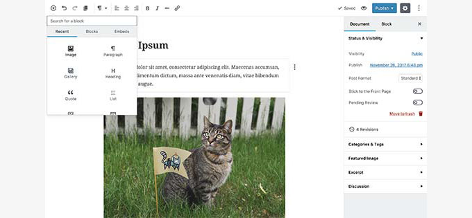 Block Editor was introduced in WordPress 5.0