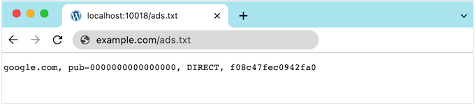 WordPress 中的 ads.txt 文件示例