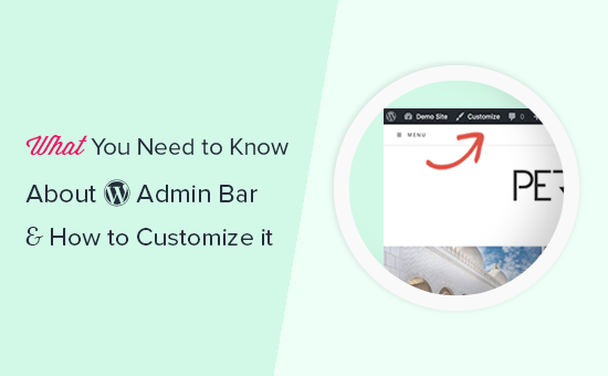 restore admin bar access