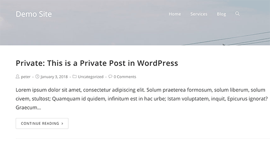 WordPress 中的私人帖子预览