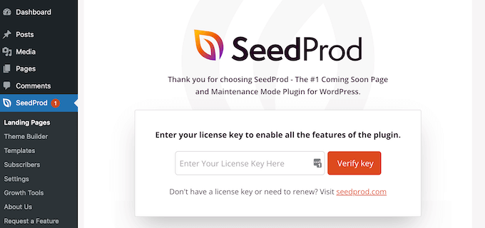 将许可证密钥添加到 SeedProd 网站