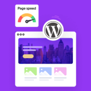 How to Use the Plugin Organizer to Speed Up Your WordPress Site