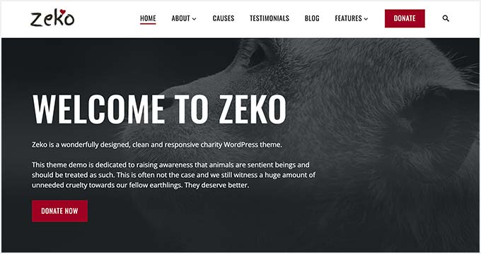 Zeko