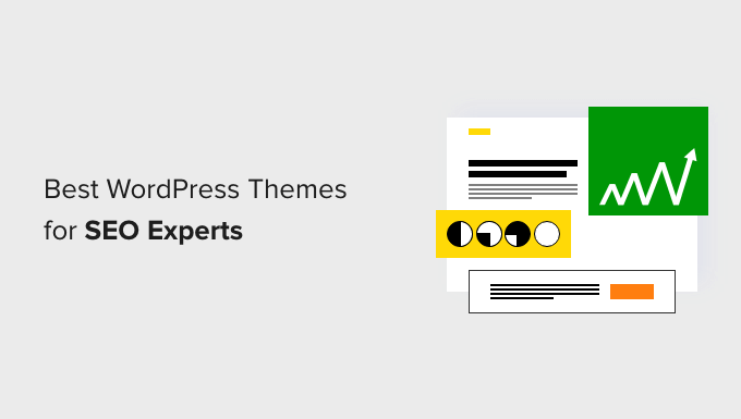 Best WordPress Themes for SEO Experts