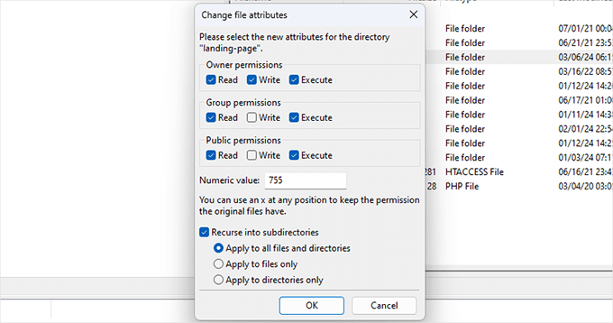 File permissions checkbox