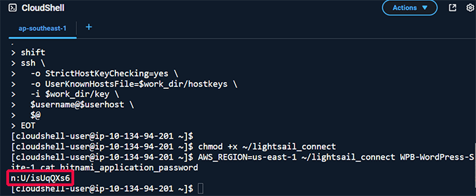 Getting your WordPress admin password in AWS via CloudShell