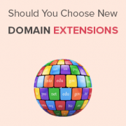 funny domain extensions