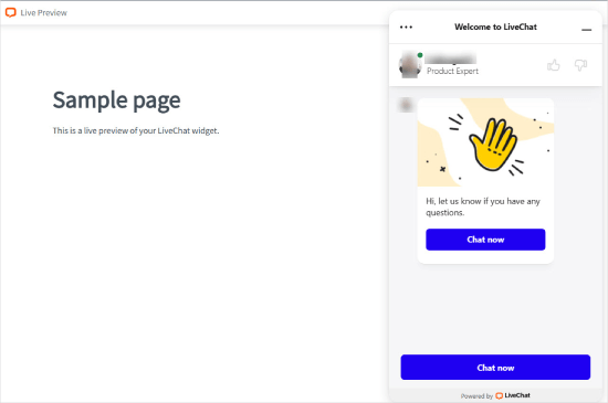 Live preview of LiveChat