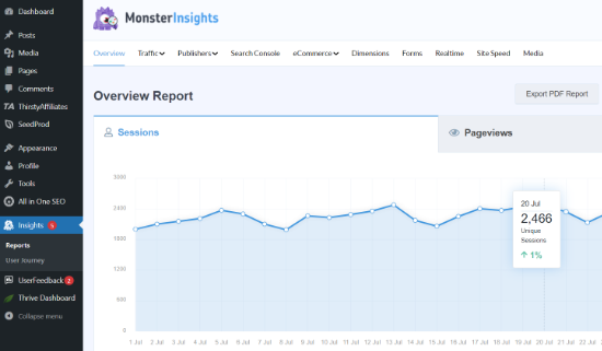 Overview report MonsterInsights