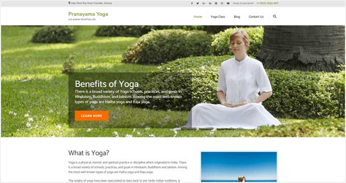 21 Best WordPress Themes for Yoga Studios (2024)