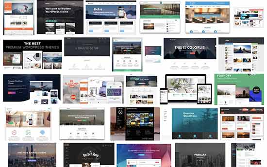 WordPress themes